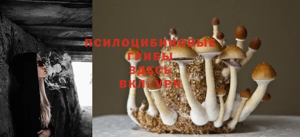 хмурый Балахна